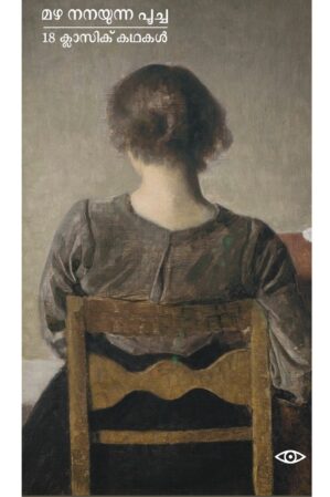 മഴ നനയുന്ന പൂച്ച