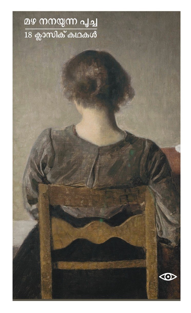 മഴ നനയുന്ന പൂച്ച